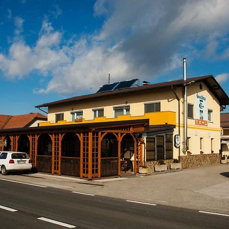 Guest House Celan Spodnja Hajdina Экстерьер фото