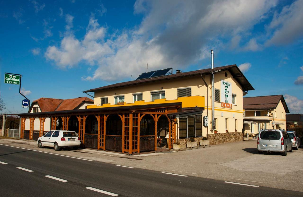 Guest House Celan Spodnja Hajdina Экстерьер фото